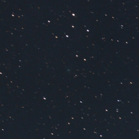 本田・ムルコス・パイドゥシャーコヴァー彗星