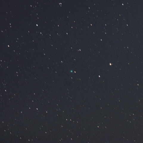 本田・ムルコス・パイドゥシャーコヴァー彗星