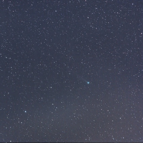 本田・ムルコス・パイドゥシャーコヴァー彗星