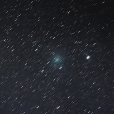 2/5 本田・ムルコス・パイドゥシャーコヴァー彗星