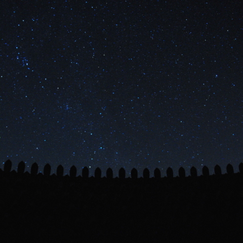 馬頭観音像と冬の星空