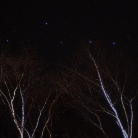 白樺と北斗七星