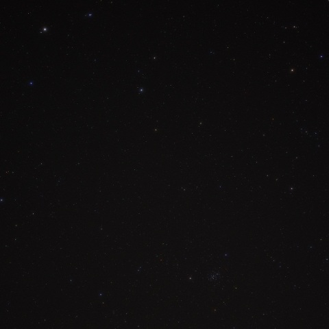 獅子の大がまとビーバイブ