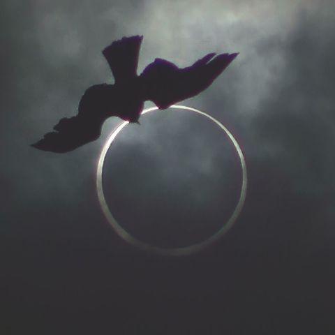 とんびが咥えたリング