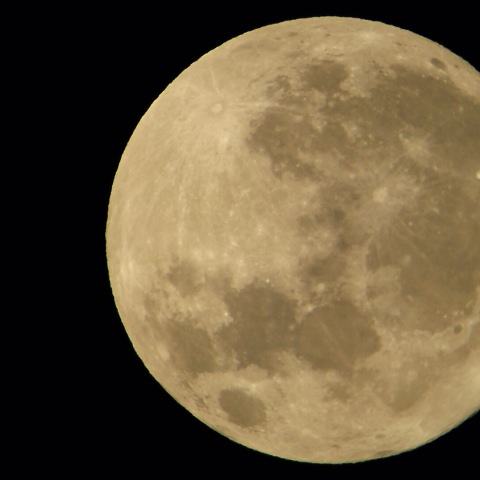 12月3日 月齢16.4日