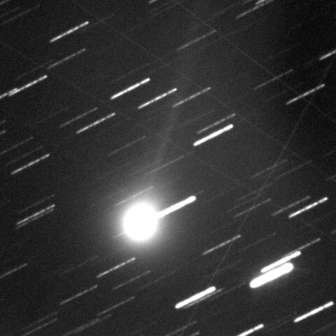 09/19　C/2025 A6 Lemmon彗星(モノクロ)