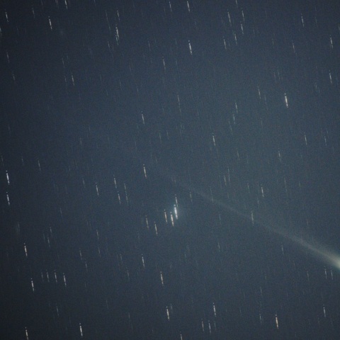 10/14　C/2025 A6 レモン彗星