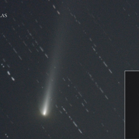 11/16　C/2025 K1 アトラス彗星