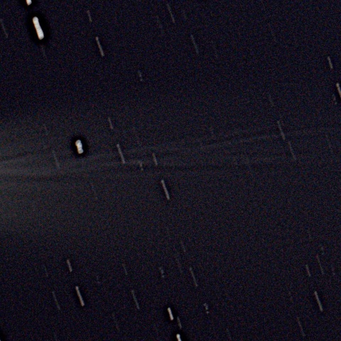 10/23 レモン彗星の複雑な尾