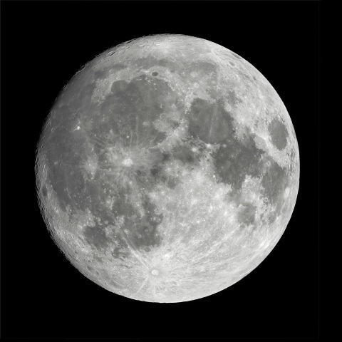 2025_07_09月齢14.1