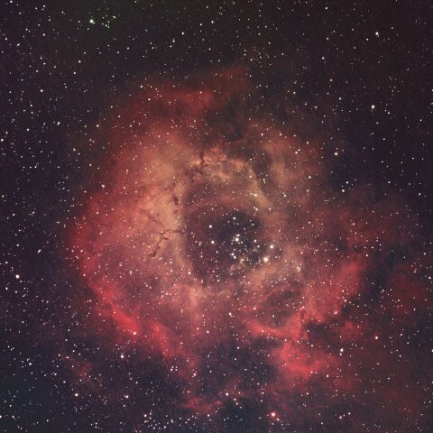 バラ星雲＿NGC2238 　2026/1/27