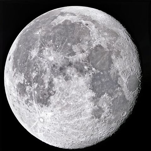 月齢16.5 　2026/3/5