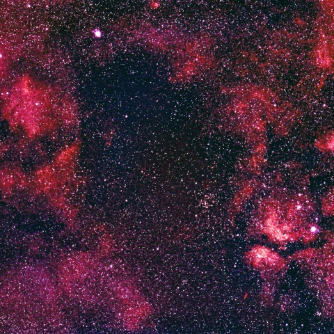 はくちょう座 デネブ～サドル付近散光星雲　2026/5/31