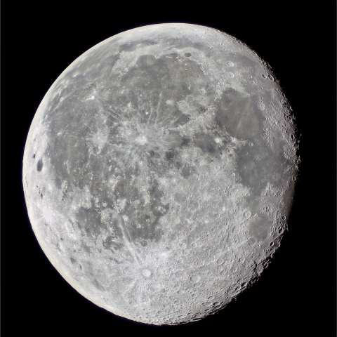 月齢18.2 2026/8/2