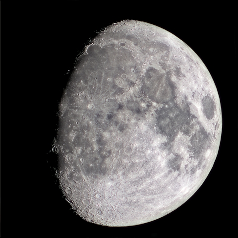 月齢11.3 　2026/9/22