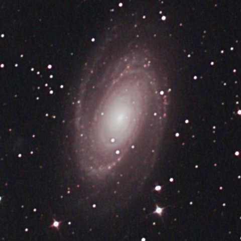 M81
