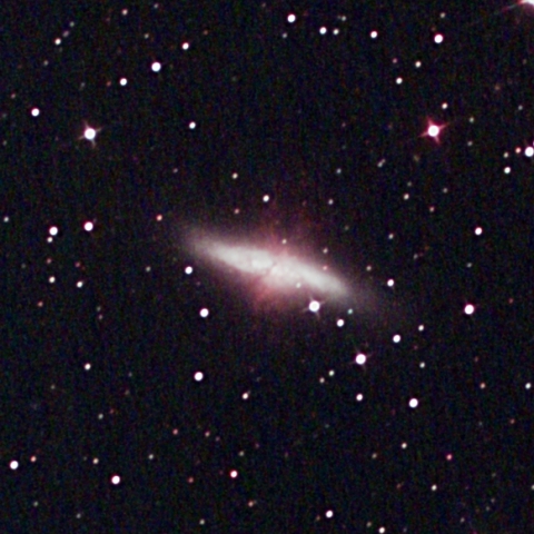 M81