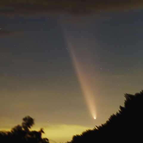 紫金山･アトラス彗星(C/2023 A3)