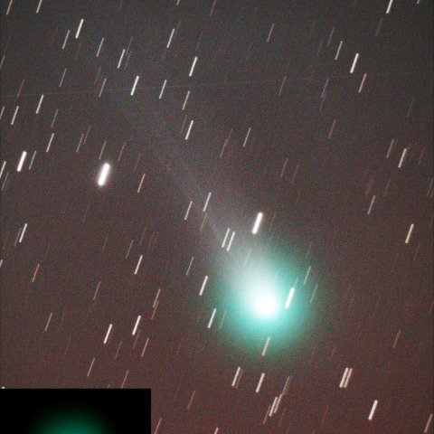 レモン彗星(C/2025 A6) 2025/09/26