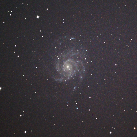 おおぐま座M101回転花火銀河