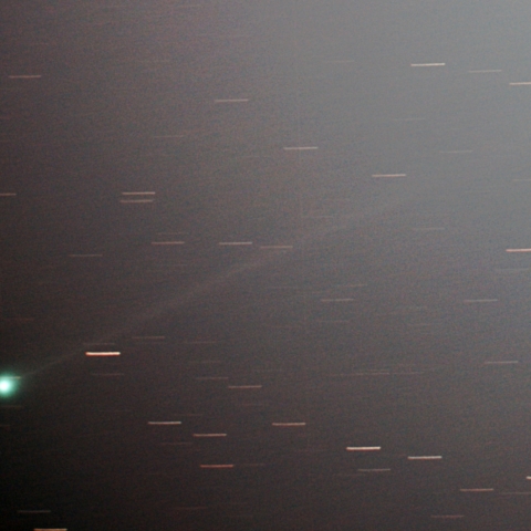 C2023 P1(西村)彗星