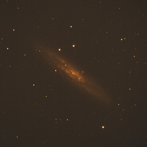 NGC253