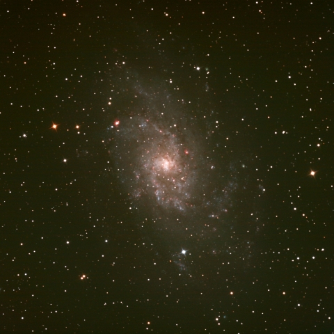 M33