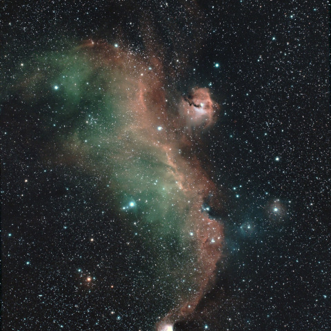 かもめ星雲 IC2117