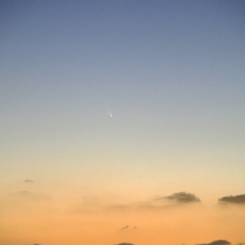 3月14日に南河内から見えたパンスターズ彗星