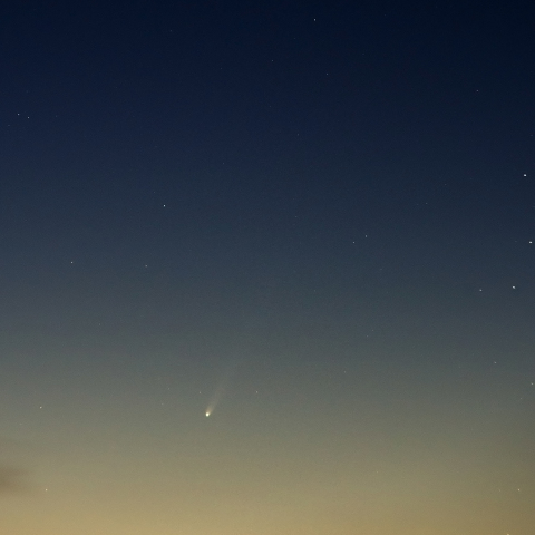 薄明の中のアイソン彗星