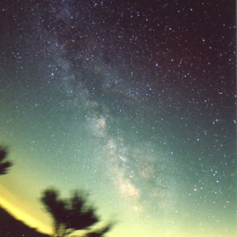 銀河に燃ゆる樹