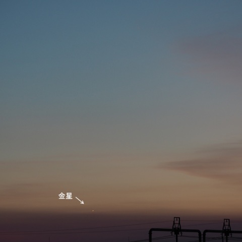 水星、レグルスの接近と内合が近づいた金星