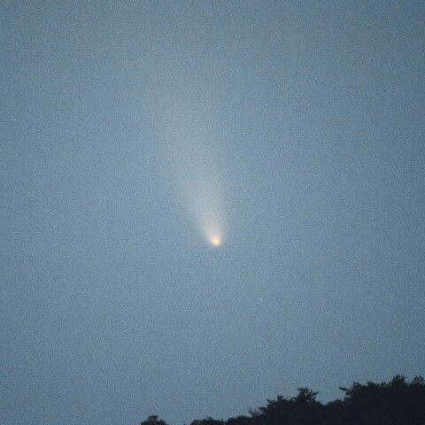 紫金山アトラス彗星