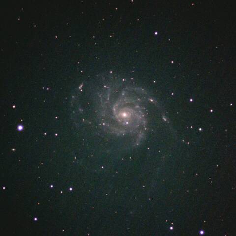 M101