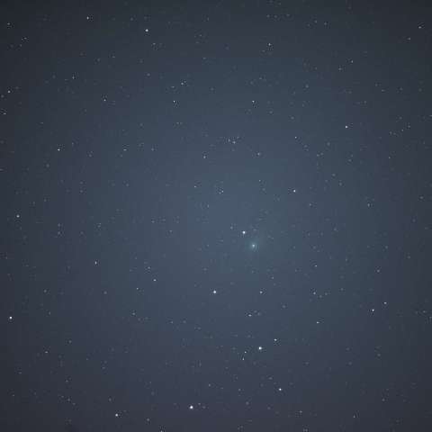 C/2015V2（ジョンソン彗星）