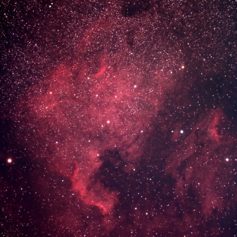 NGC7000 北アメリカ星雲