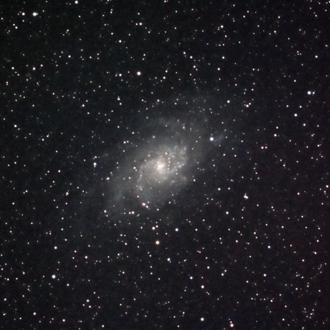 M33