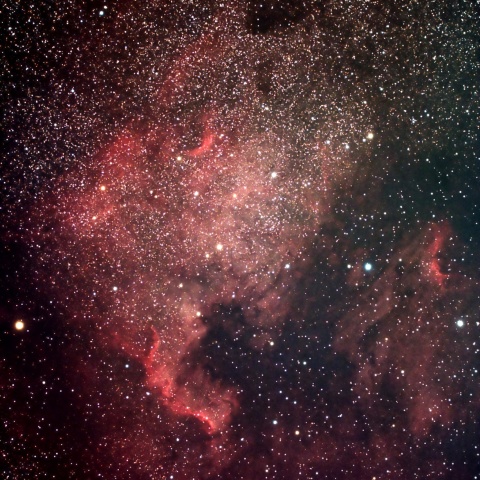 NGC7000 北アメリカ星雲 (再)