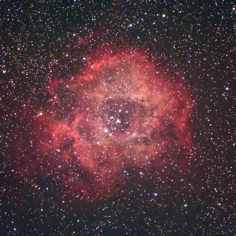 ばら星雲 NGC2237