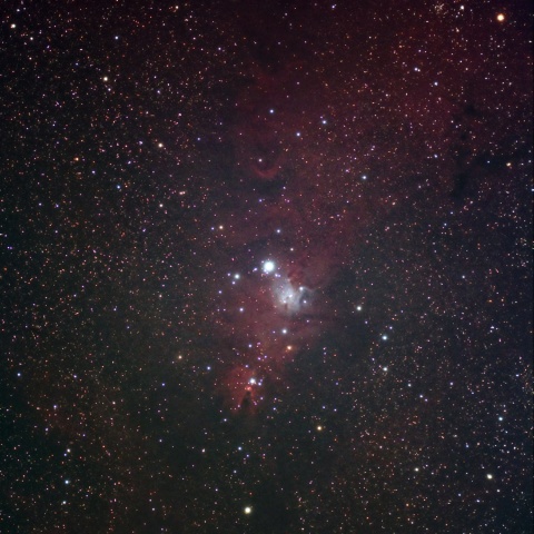 コーン星雲とクリスマスツリー星団