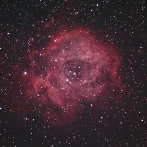 ばら星雲 NGC2237