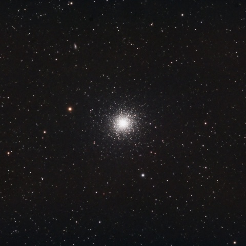 M13