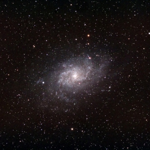 M33