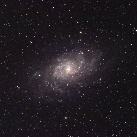 M33 (再)