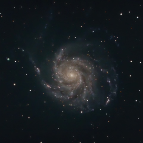 M101