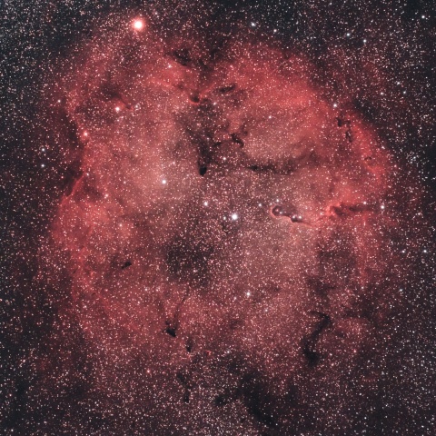 IC1396