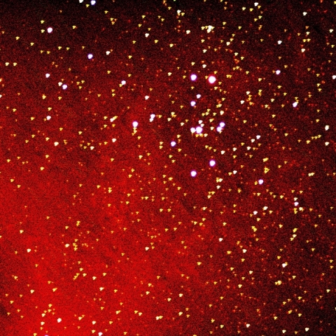 いっかくじゅう座 NGC2237 バラ星雲