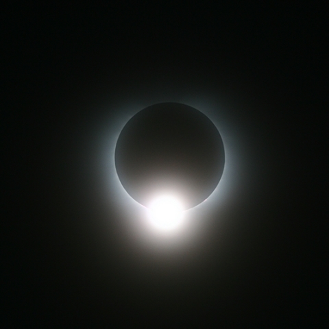 喜界島の奇跡／ダイヤモンドリング