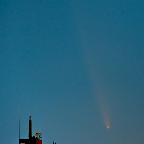 紫金山アトラス彗星