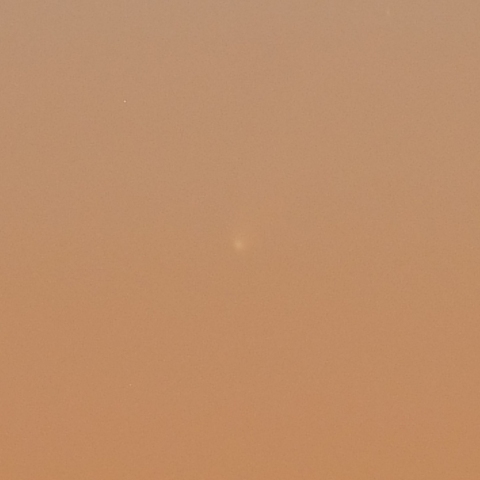 11月24日のアイソン彗星